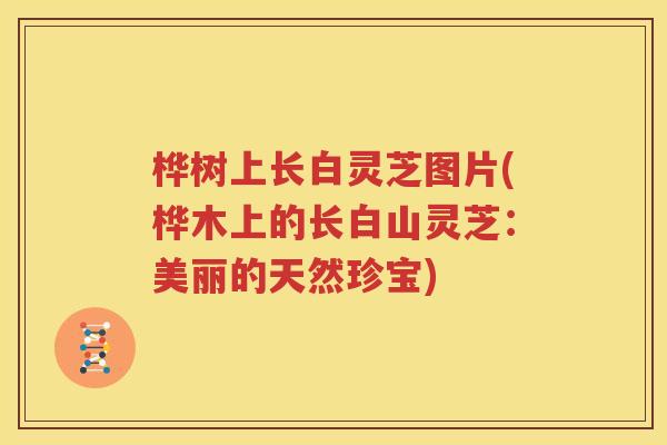 桦树上长白灵芝图片(桦木上的长白山灵芝：美丽的天然珍宝)