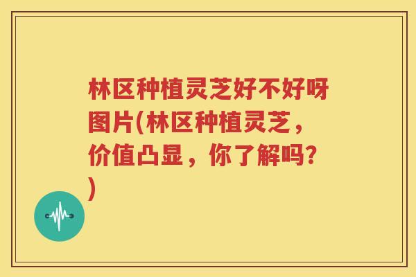 林区种植灵芝好不好呀图片(林区种植灵芝，价值凸显，你了解吗？)