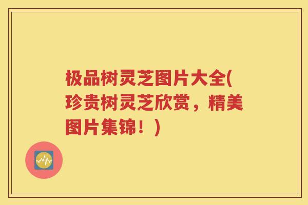 极品树灵芝图片大全(珍贵树灵芝欣赏，精美图片集锦！)