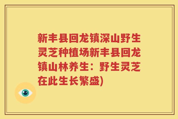 新丰县回龙镇深山野生灵芝种植场新丰县回龙镇山林养生：野生灵芝在此生长繁盛)