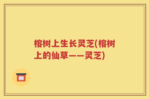榕树上生长灵芝(榕树上的仙草——灵芝)