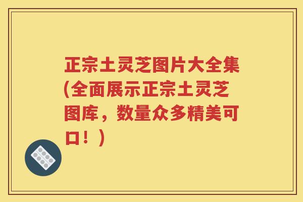 正宗土灵芝图片大全集(全面展示正宗土灵芝图库，数量众多精美可口！)
