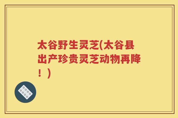 太谷野生灵芝(太谷县出产珍贵灵芝动物再降！)
