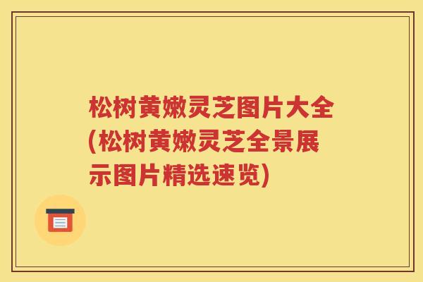 松树黄嫩灵芝图片大全(松树黄嫩灵芝全景展示图片精选速览)