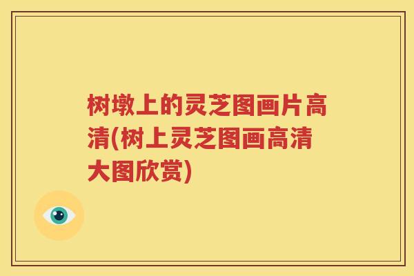 树墩上的灵芝图画片高清(树上灵芝图画高清大图欣赏)