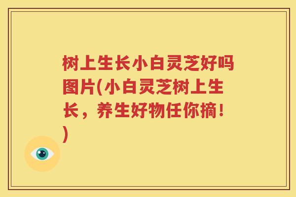 树上生长小白灵芝好吗图片(小白灵芝树上生长，养生好物任你摘！)