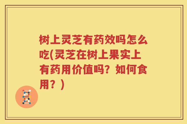 树上灵芝有药效吗怎么吃(灵芝在树上果实上有药用价值吗？如何食用？)