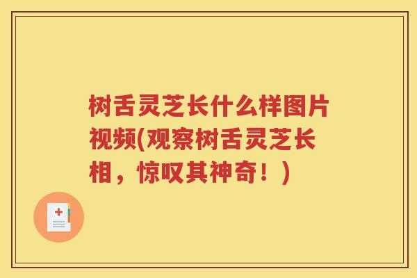 树舌灵芝长什么样图片视频(观察树舌灵芝长相，惊叹其神奇！)