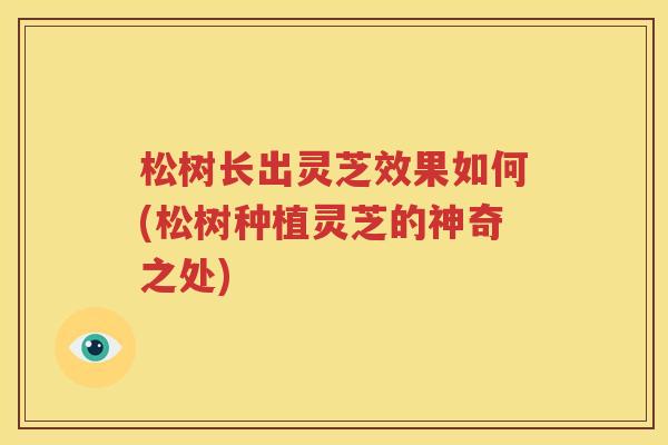 松树长出灵芝效果如何(松树种植灵芝的神奇之处)