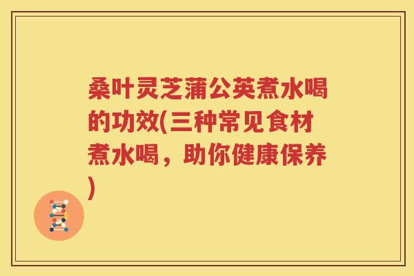 桑叶灵芝蒲公英煮水喝的功效(三种常见食材煮水喝，助你健康保养)
