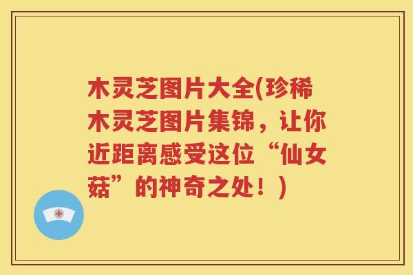 木灵芝图片大全(珍稀木灵芝图片集锦，让你近距离感受这位“仙女菇”的神奇之处！)