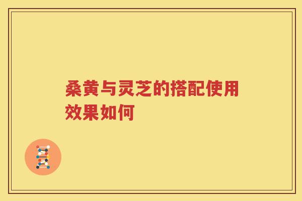 桑黄与灵芝的搭配使用效果如何