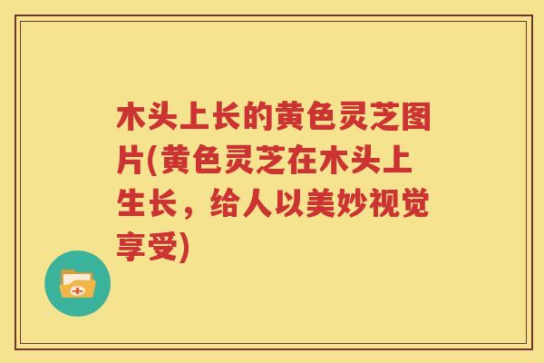 木头上长的黄色灵芝图片(黄色灵芝在木头上生长，给人以美妙视觉享受)