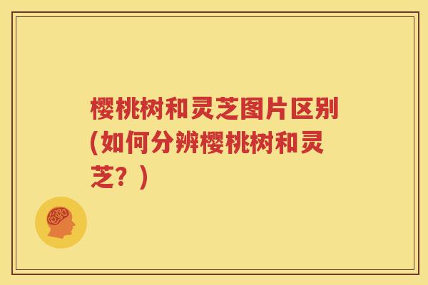 樱桃树和灵芝图片区别(如何分辨樱桃树和灵芝？)