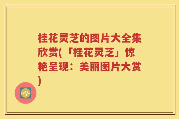 桂花灵芝的图片大全集欣赏(「桂花灵芝」惊艳呈现：美丽图片大赏)