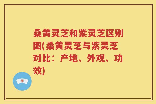 桑黄灵芝和紫灵芝区别图(桑黄灵芝与紫灵芝对比：产地、外观、功效)