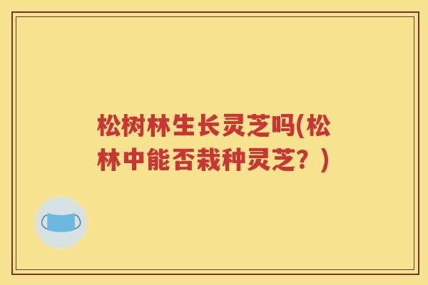 松树林生长灵芝吗(松林中能否栽种灵芝？)