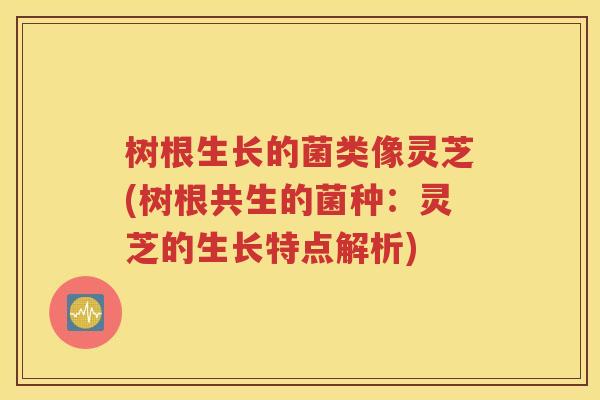 树根生长的菌类像灵芝(树根共生的菌种：灵芝的生长特点解析)