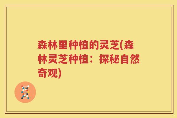 森林里种植的灵芝(森林灵芝种植：探秘自然奇观)