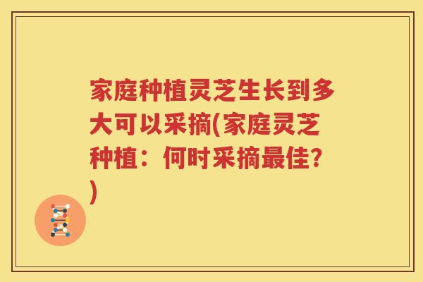 家庭种植灵芝生长到多大可以采摘(家庭灵芝种植：何时采摘最佳？)