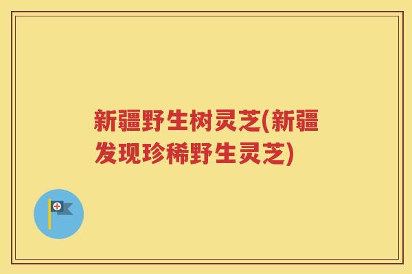 新疆野生树灵芝(新疆发现珍稀野生灵芝)