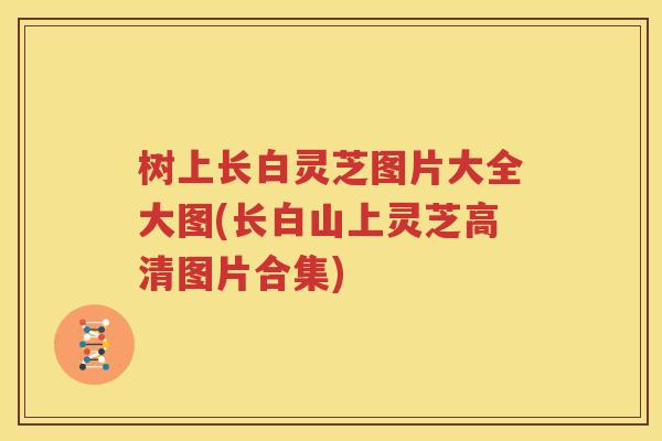 树上长白灵芝图片大全大图(长白山上灵芝高清图片合集)