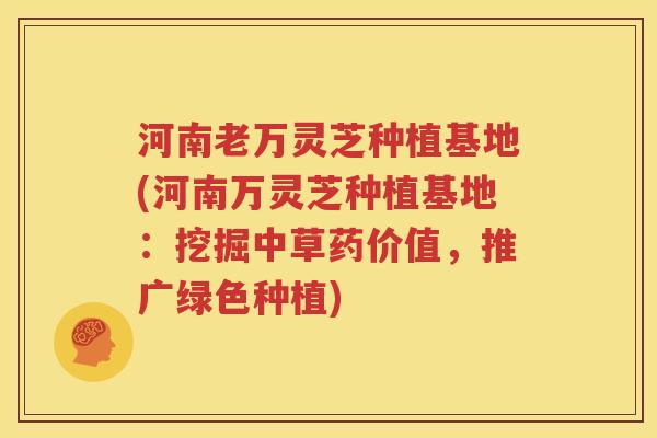 河南老万灵芝种植基地(河南万灵芝种植基地：挖掘中草药价值，推广绿色种植)