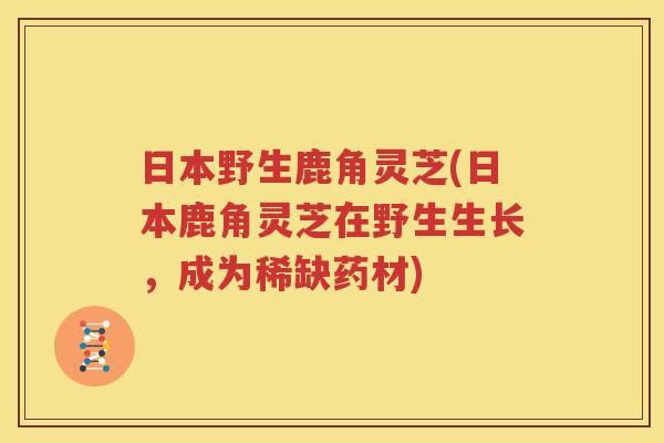 日本野生鹿角灵芝(日本鹿角灵芝在野生生长，成为稀缺药材)