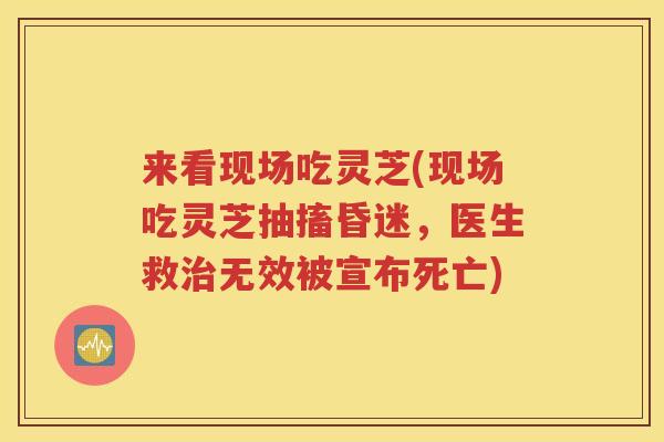 来看现场吃灵芝(现场吃灵芝抽搐昏迷，医生救治无效被宣布死亡)