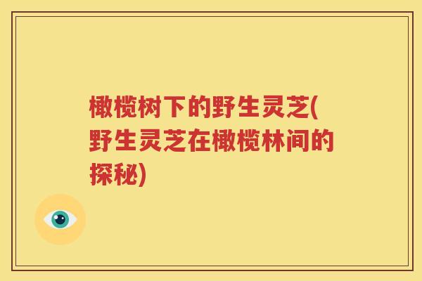 橄榄树下的野生灵芝(野生灵芝在橄榄林间的探秘)