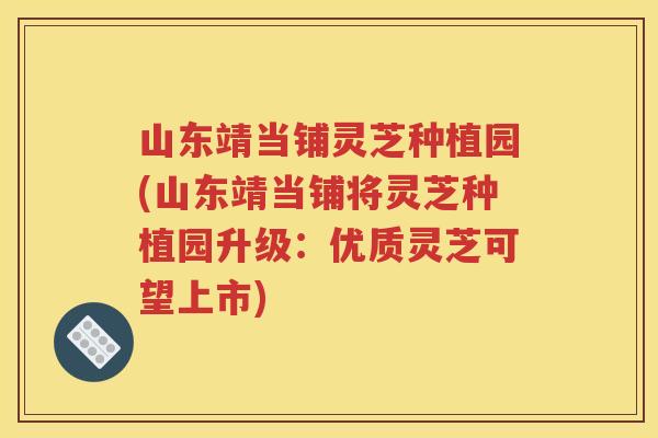 山东靖当铺灵芝种植园(山东靖当铺将灵芝种植园升级：优质灵芝可望上市)