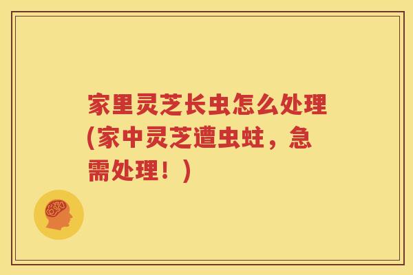 家里灵芝长虫怎么处理(家中灵芝遭虫蛀，急需处理！)
