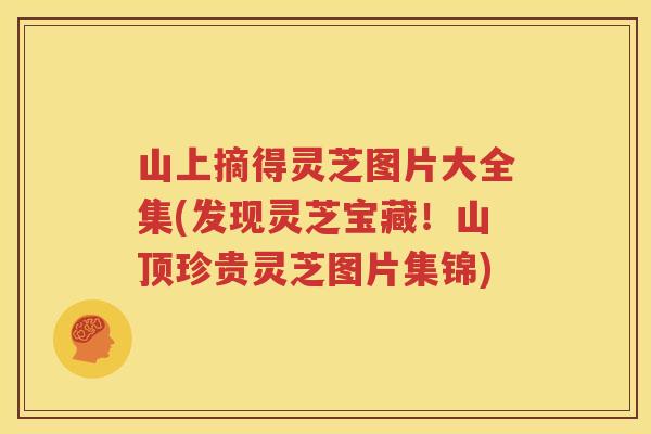 山上摘得灵芝图片大全集(发现灵芝宝藏！山顶珍贵灵芝图片集锦)