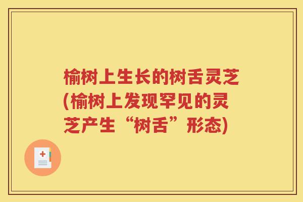 榆树上生长的树舌灵芝(榆树上发现罕见的灵芝产生“树舌”形态)