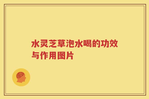 水灵芝草泡水喝的功效与作用图片