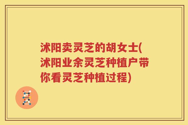 沭阳卖灵芝的胡女士(沭阳业余灵芝种植户带你看灵芝种植过程)