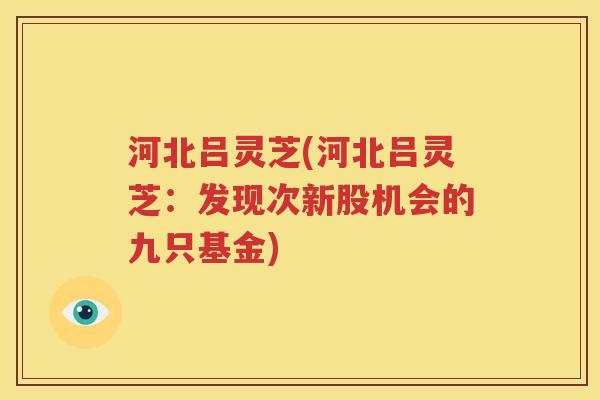 河北吕灵芝(河北吕灵芝：发现次新股机会的九只基金)