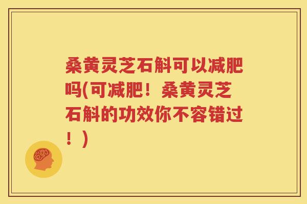 桑黄灵芝石斛可以减肥吗(可减肥！桑黄灵芝石斛的功效你不容错过！)