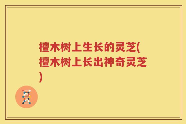 檀木树上生长的灵芝(檀木树上长出神奇灵芝)