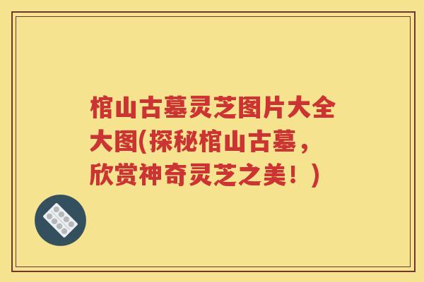 棺山古墓灵芝图片大全大图(探秘棺山古墓，欣赏神奇灵芝之美！)