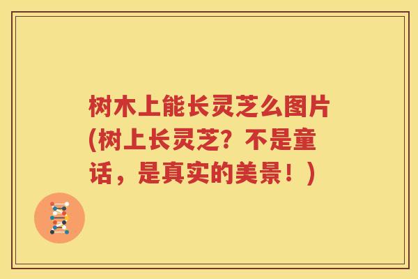 树木上能长灵芝么图片(树上长灵芝？不是童话，是真实的美景！)