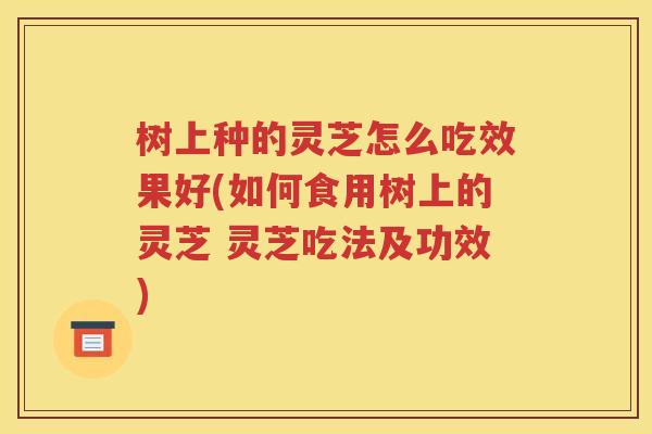 树上种的灵芝怎么吃效果好(如何食用树上的灵芝 灵芝吃法及功效)