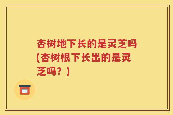 杏树地下长的是灵芝吗(杏树根下长出的是灵芝吗？)