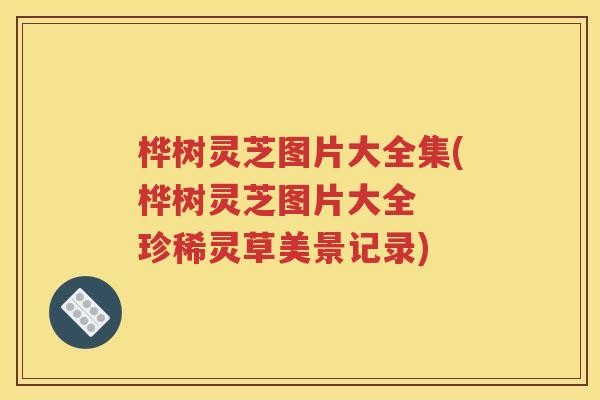 桦树灵芝图片大全集(桦树灵芝图片大全  珍稀灵草美景记录)
