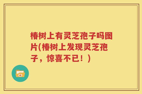 椿树上有灵芝孢子吗图片(椿树上发现灵芝孢子，惊喜不已！)