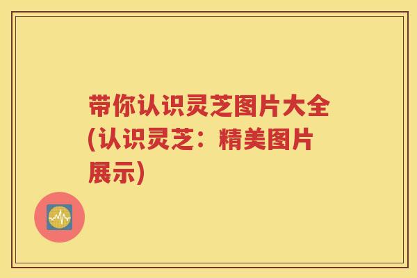 带你认识灵芝图片大全(认识灵芝：精美图片展示)