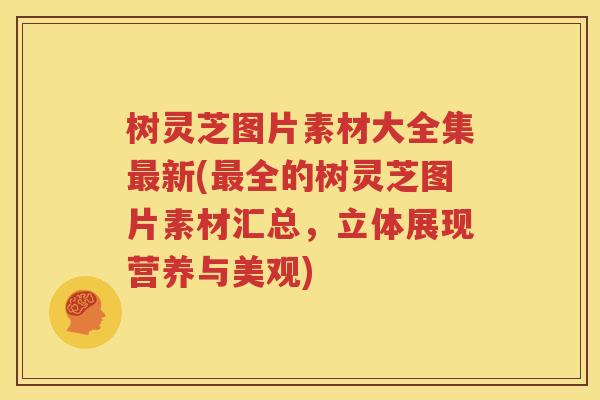 树灵芝图片素材大全集最新(最全的树灵芝图片素材汇总，立体展现营养与美观)