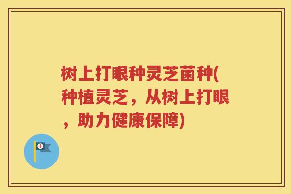 树上打眼种灵芝菌种(种植灵芝，从树上打眼，助力健康保障)