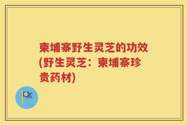 柬埔寨野生灵芝的功效(野生灵芝：柬埔寨珍贵药材)