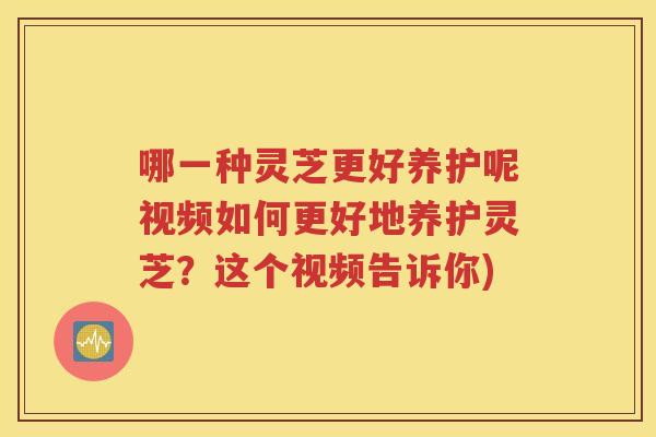 哪一种灵芝更好养护呢视频如何更好地养护灵芝？这个视频告诉你)